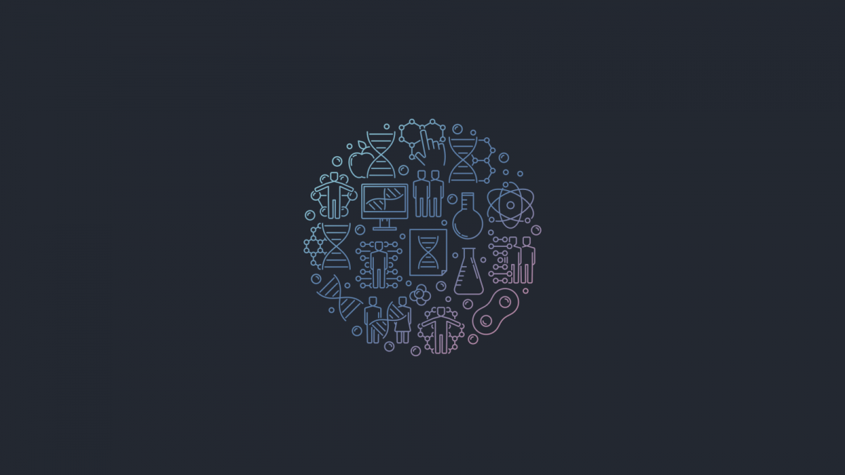 Картинки Минимализм на рабочий стол Совы