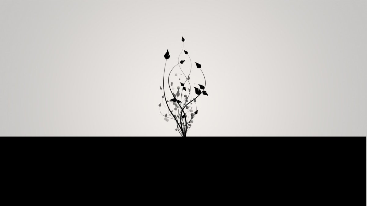 Минимализм на черном фоне