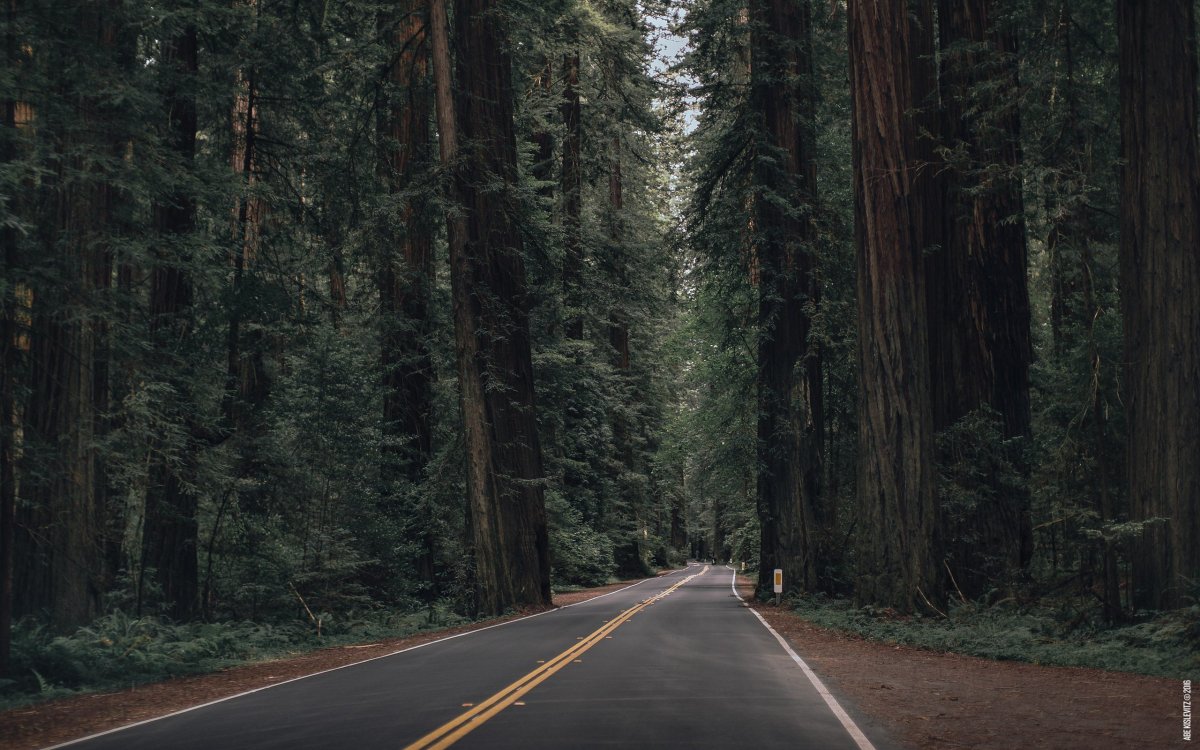 Форкс Сумерки Эстетика