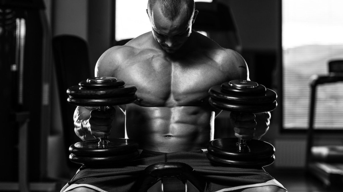 Nike Basketball Jordan Dunk