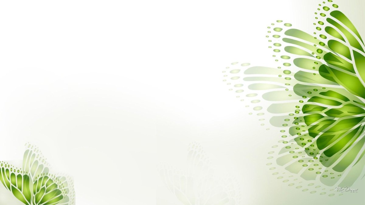 Бело зеленый фон