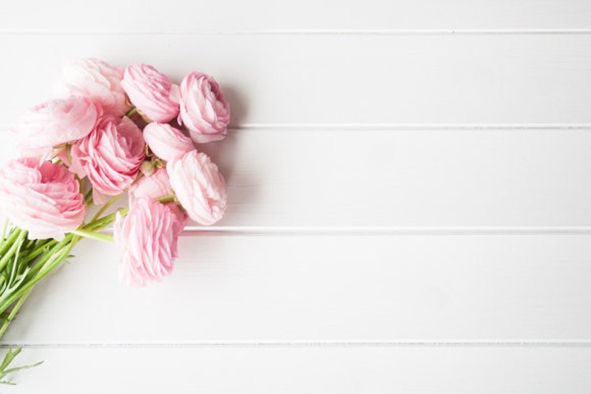 Визитка пустая