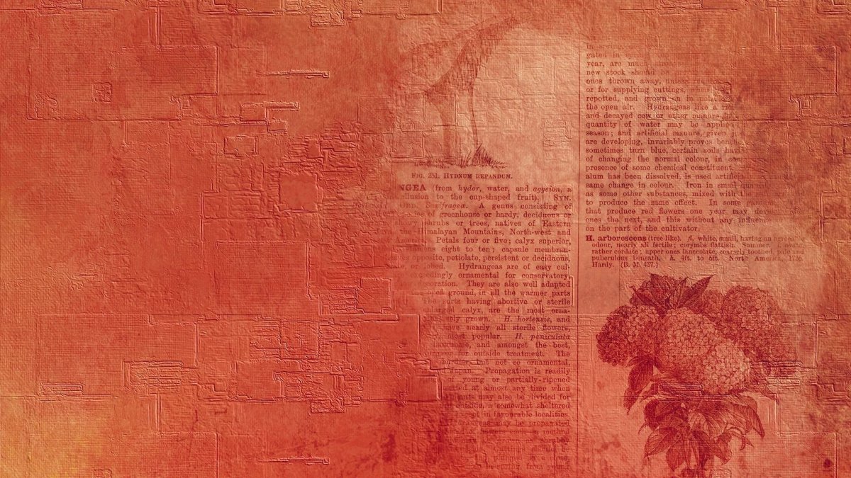 Красивый фон для газеты