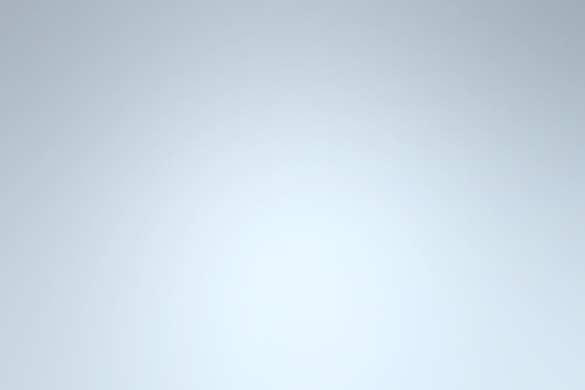 Уайт Фельди цветы