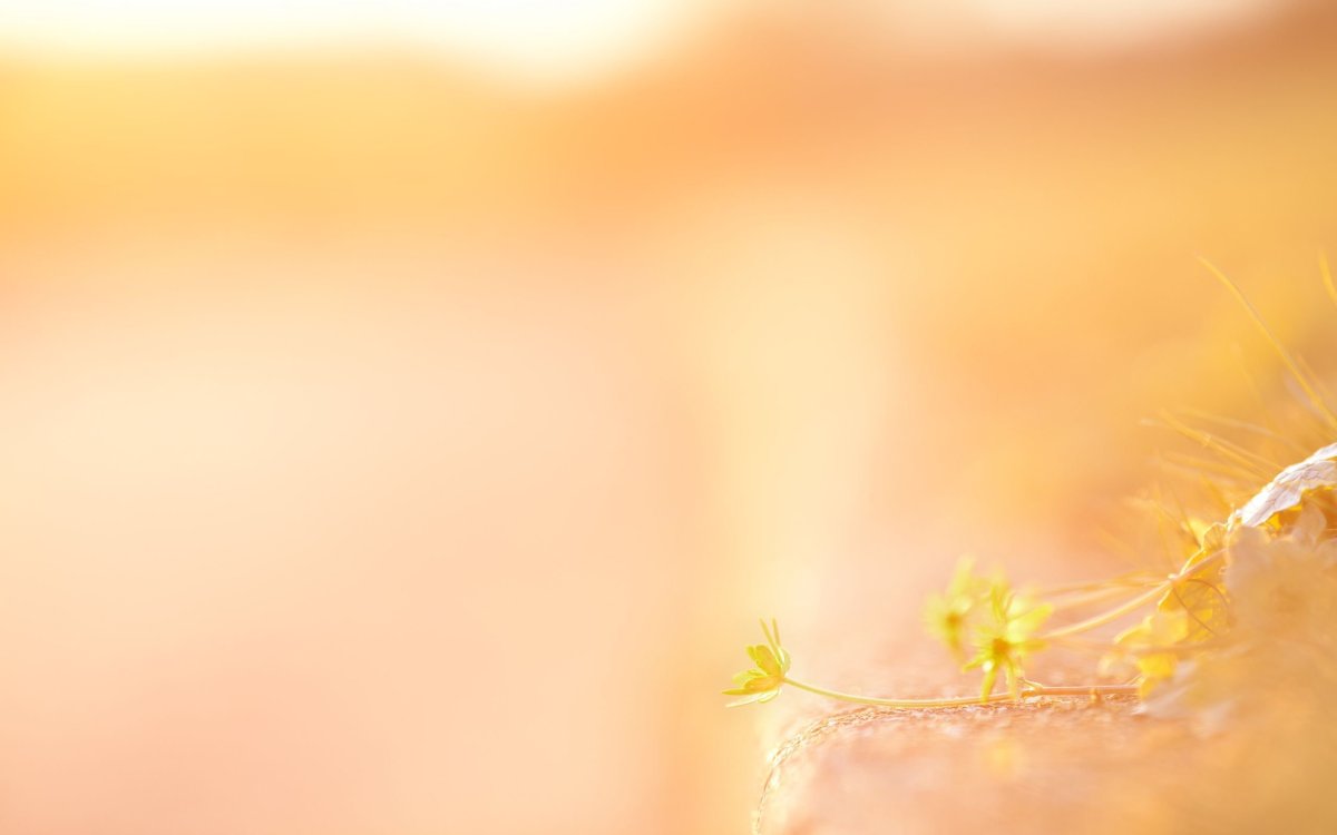 Бледный фон