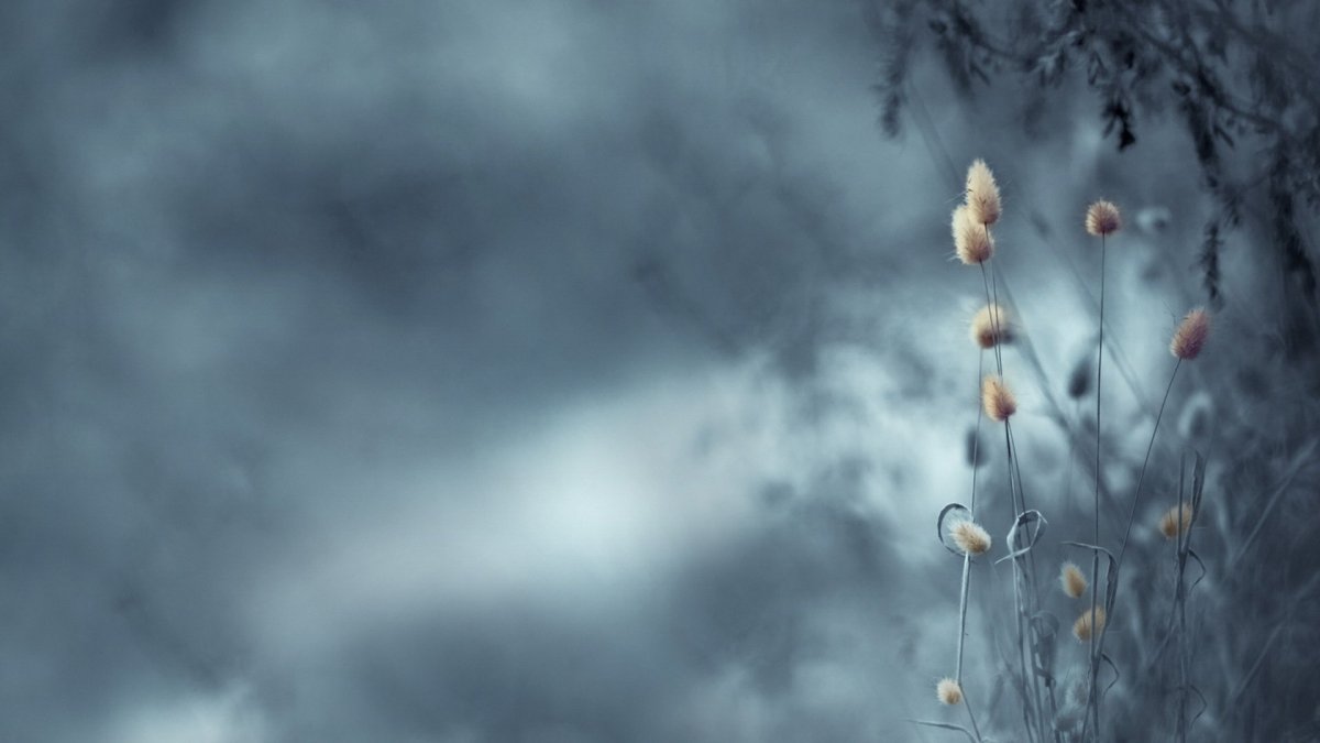 Природа светлая