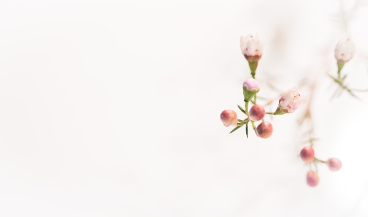 Красивый фон для презентации