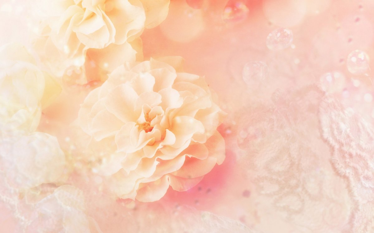 Светло розовый градиент