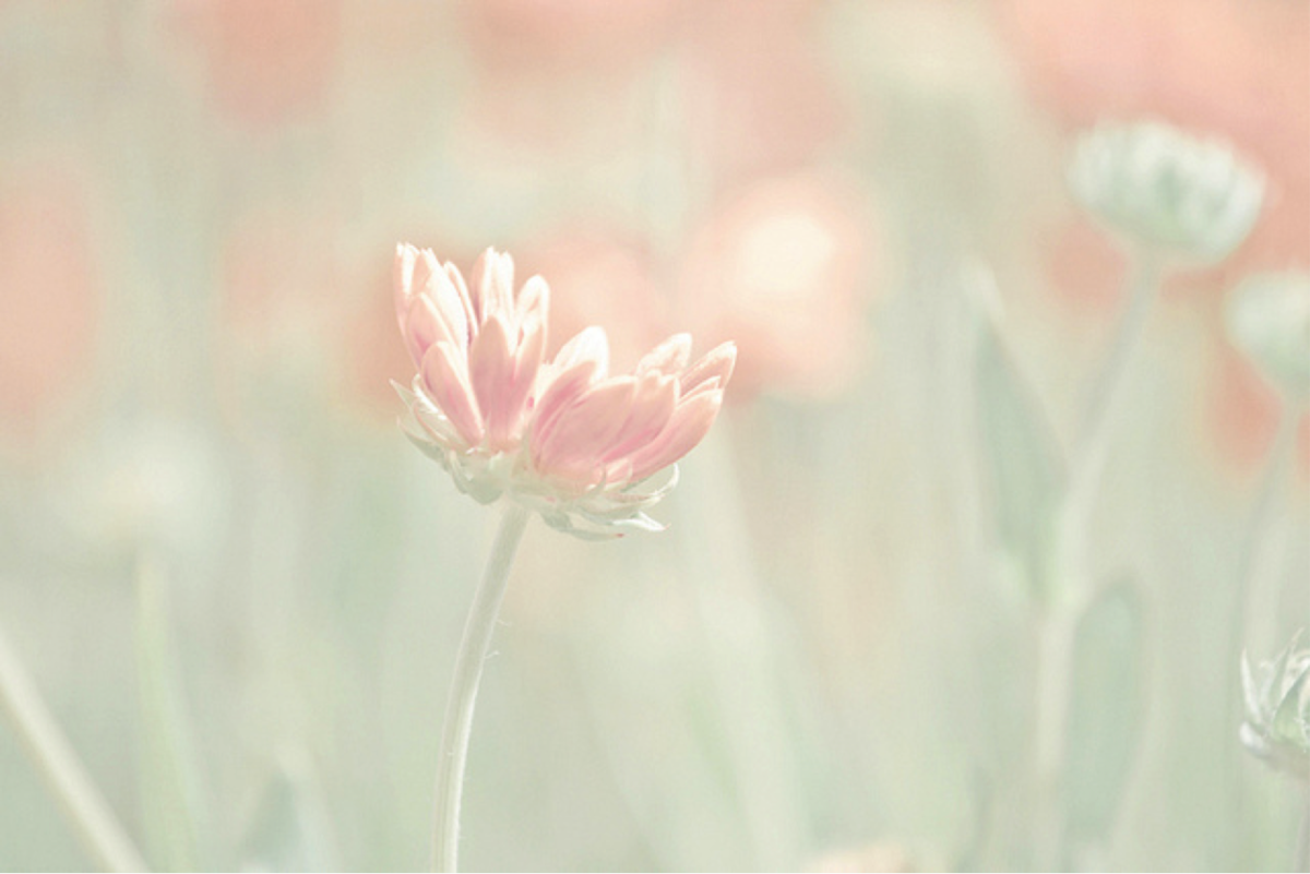 Светлый фон