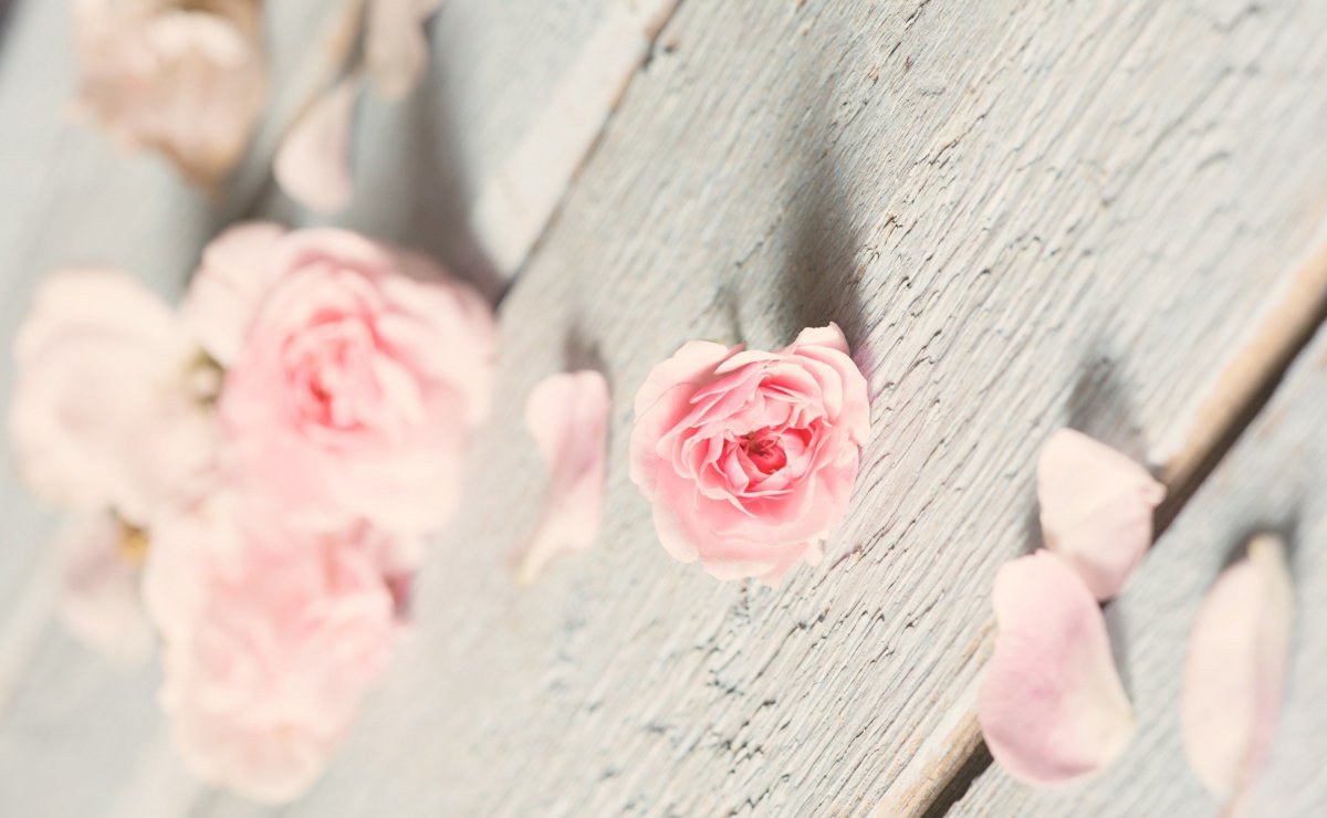 Фотофон в пастельных тонах