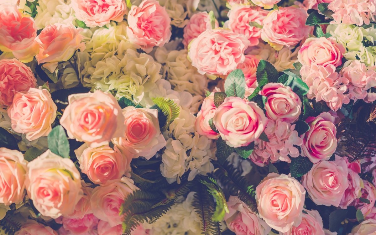 Фон цветы розы