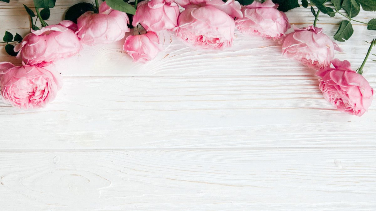 Розочки обои на айфон