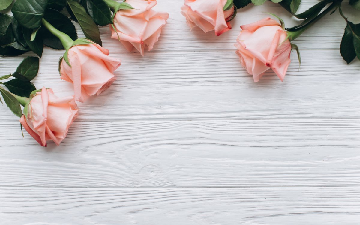 Цветы розовые фотофон