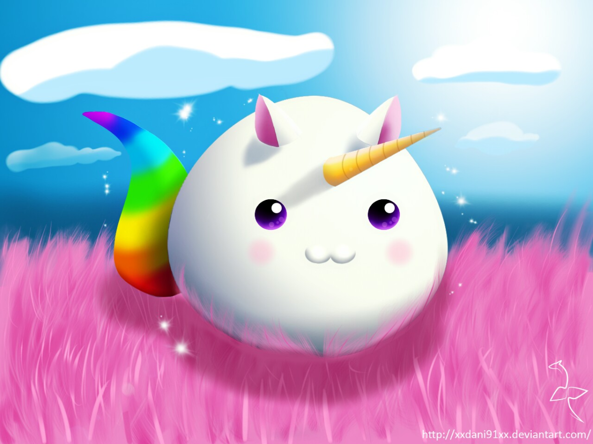 Енот Минимализм