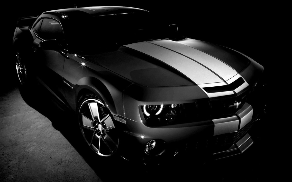 Шевроле Камаро черно белая