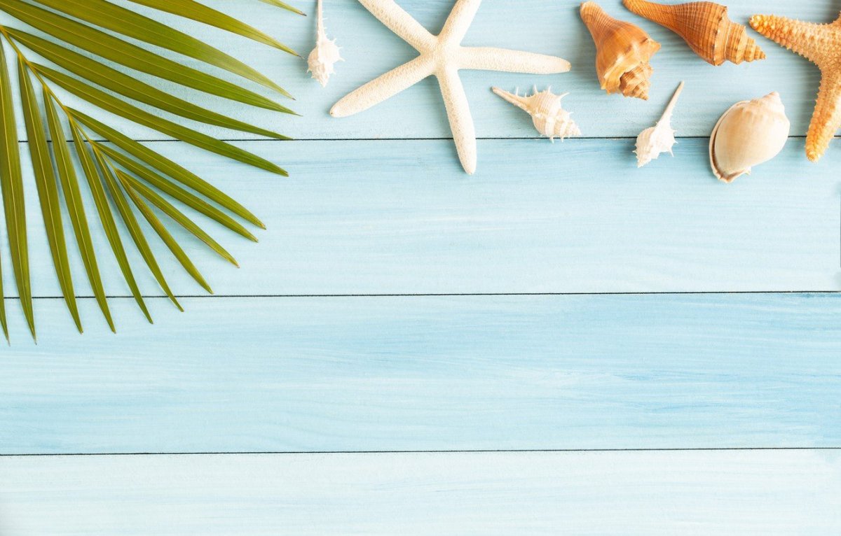 Обувь баннер