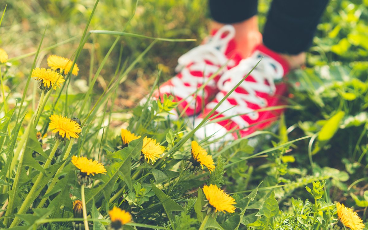 Фитнес на природе