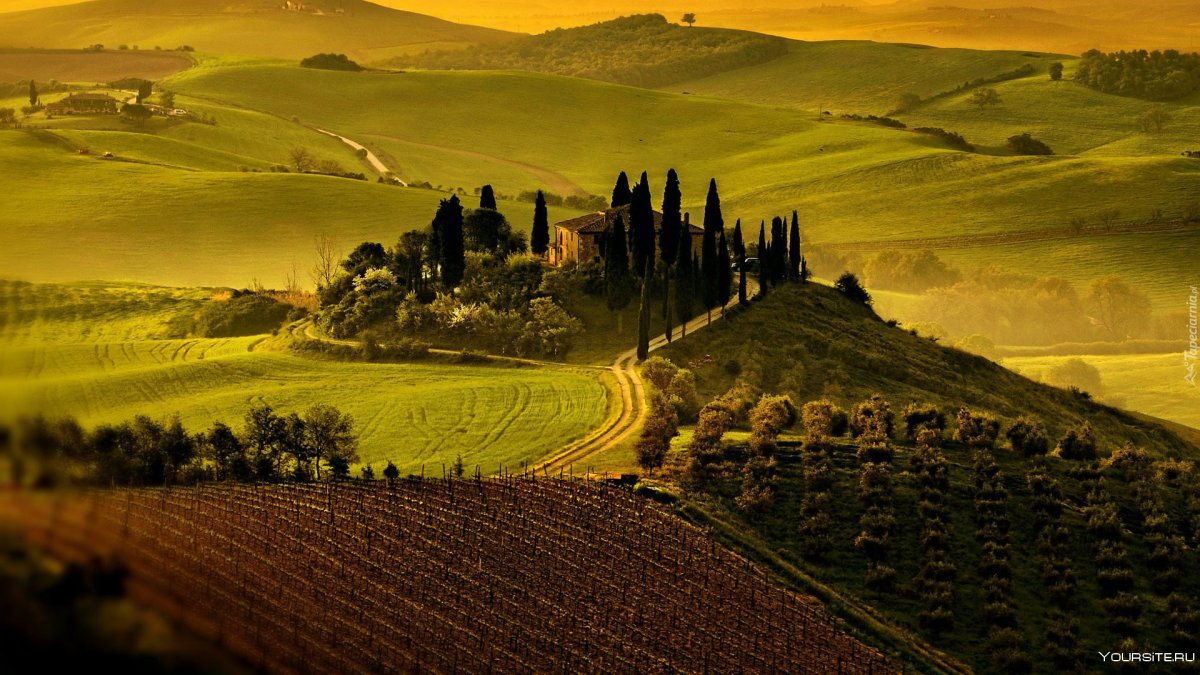 Холмы Тосканы картина