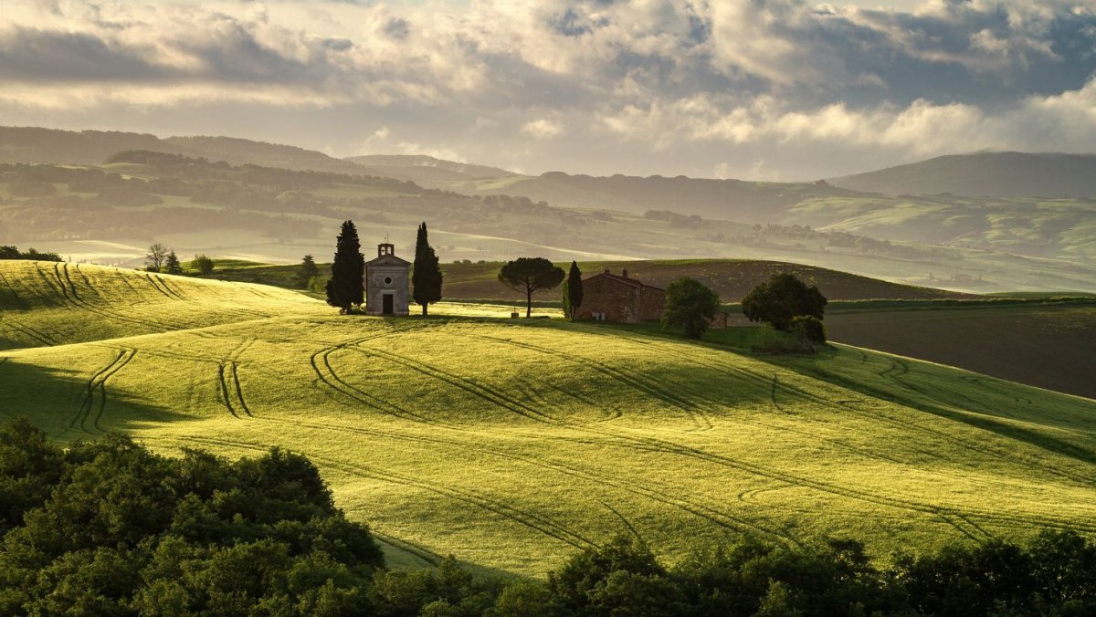 Италия, зеленые поля Тосканы