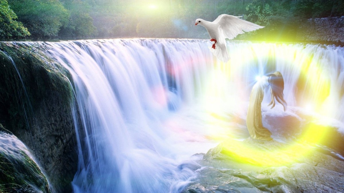 Красивый водопад и птицы