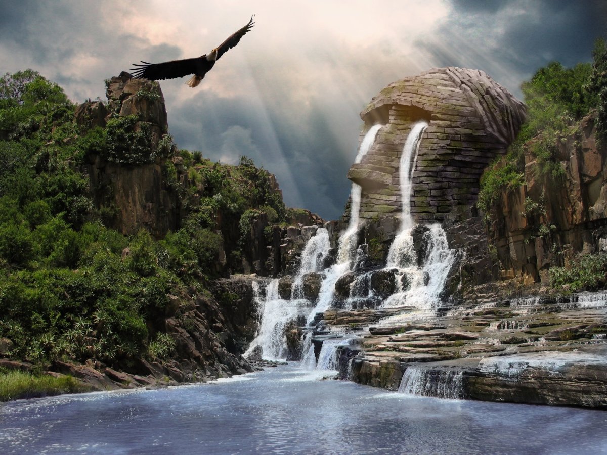 Водопад и птицы