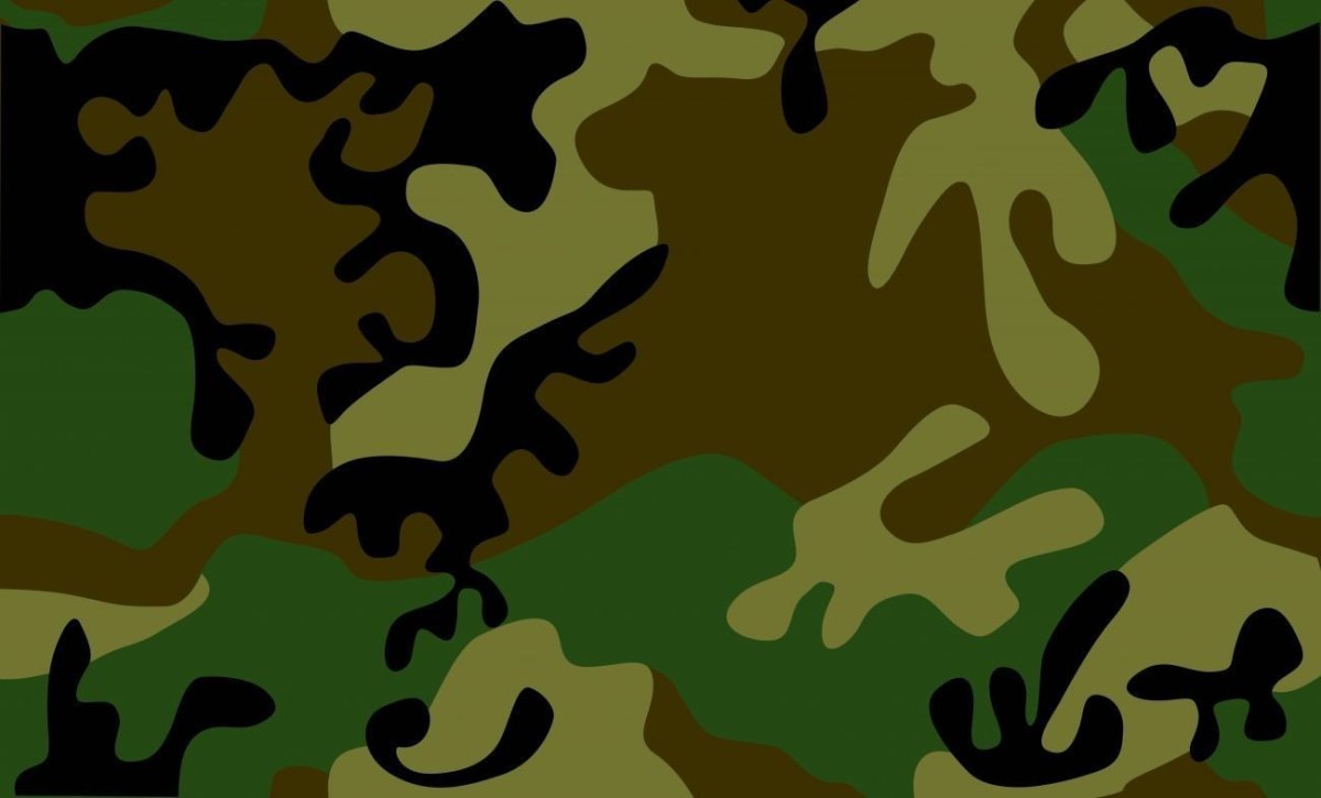 Цвет хаки цвет хаки камуфлированные