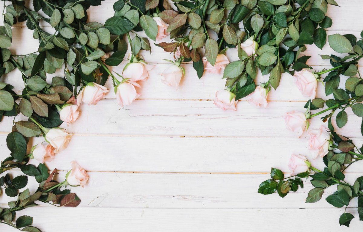 Свадебный фотофон