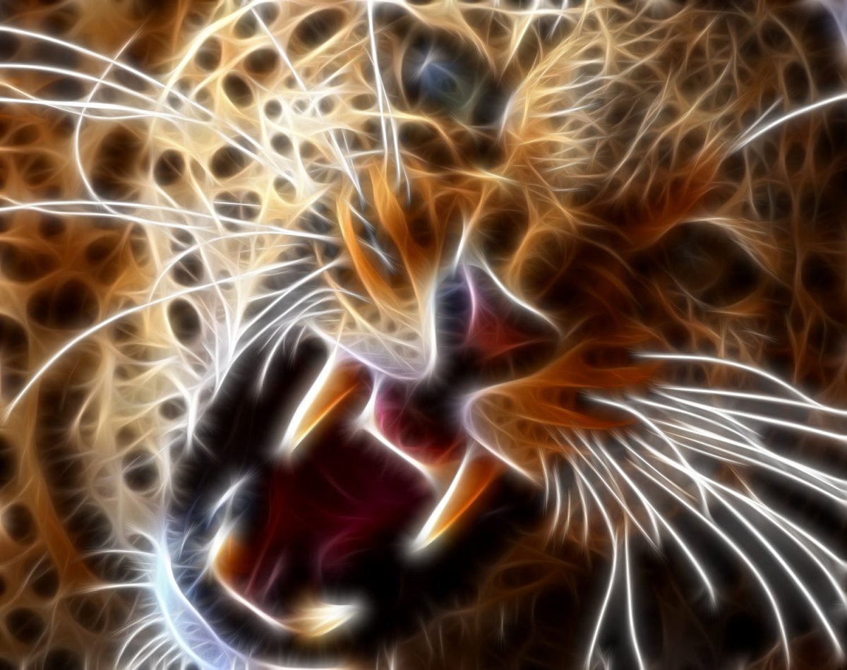 Огненный леопард обои