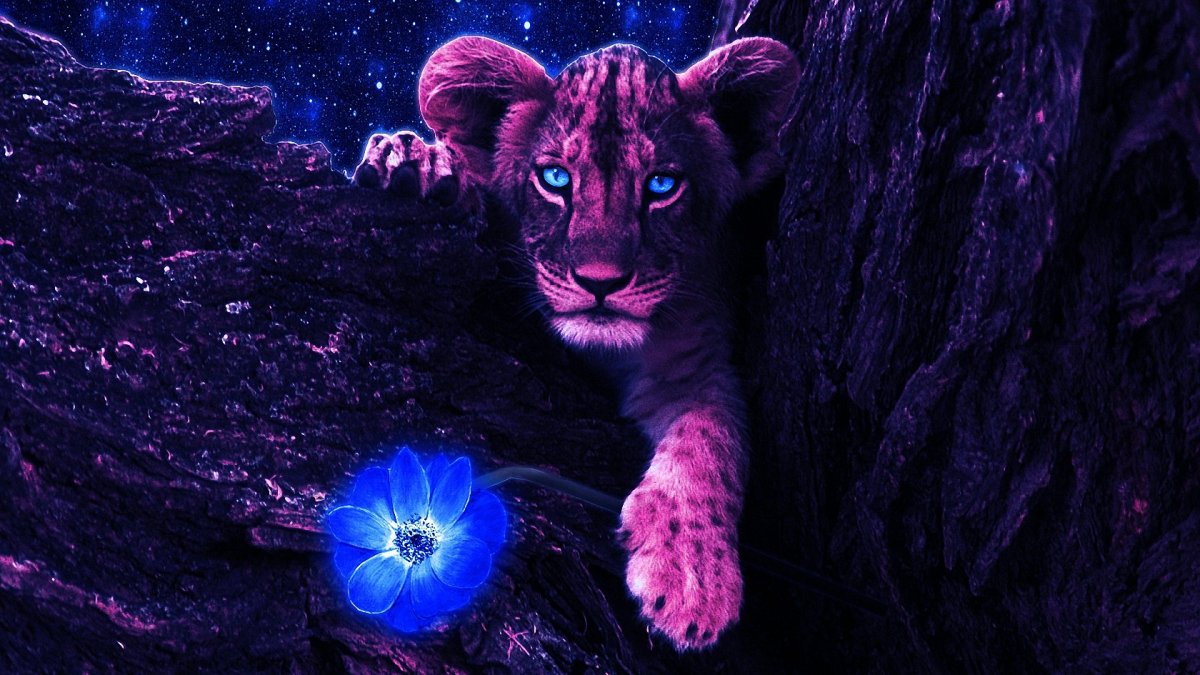 Фиолетовый тигр