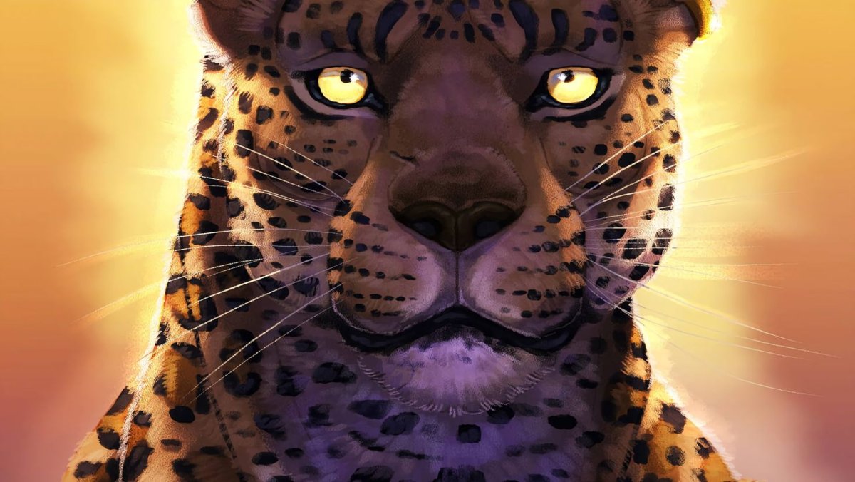 Гепард обои