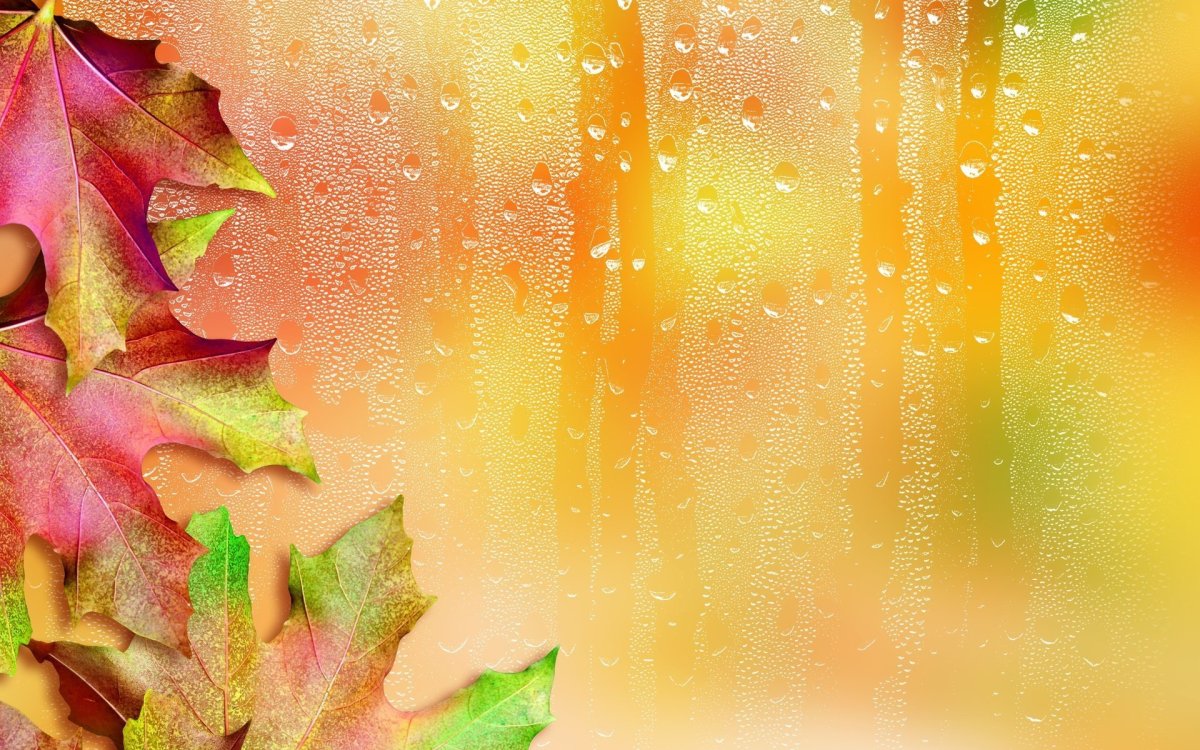 Красивый осенний фон