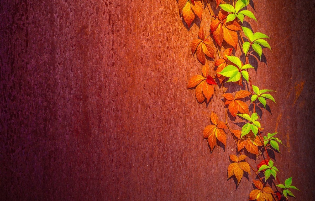 Осенние подложки для слайдов