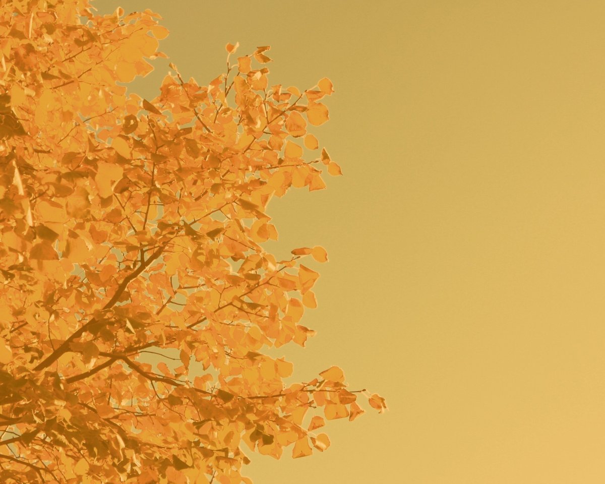 Минималистичные слайды для презентации