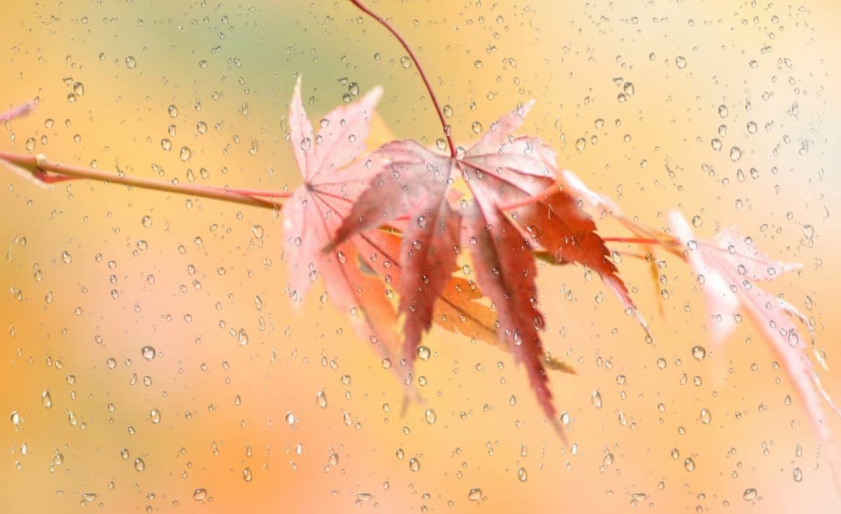 Оранжевый фон для фотошопа