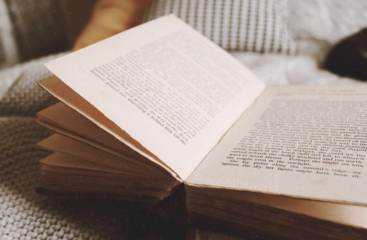 Эстетика книги светло