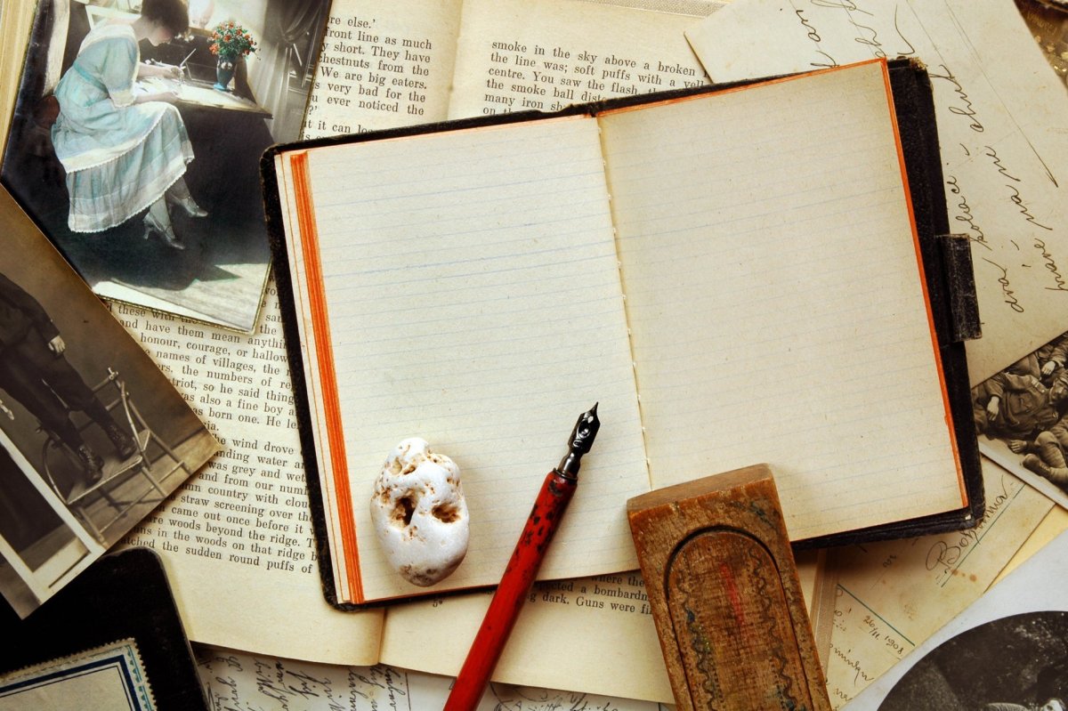 Дневник перо