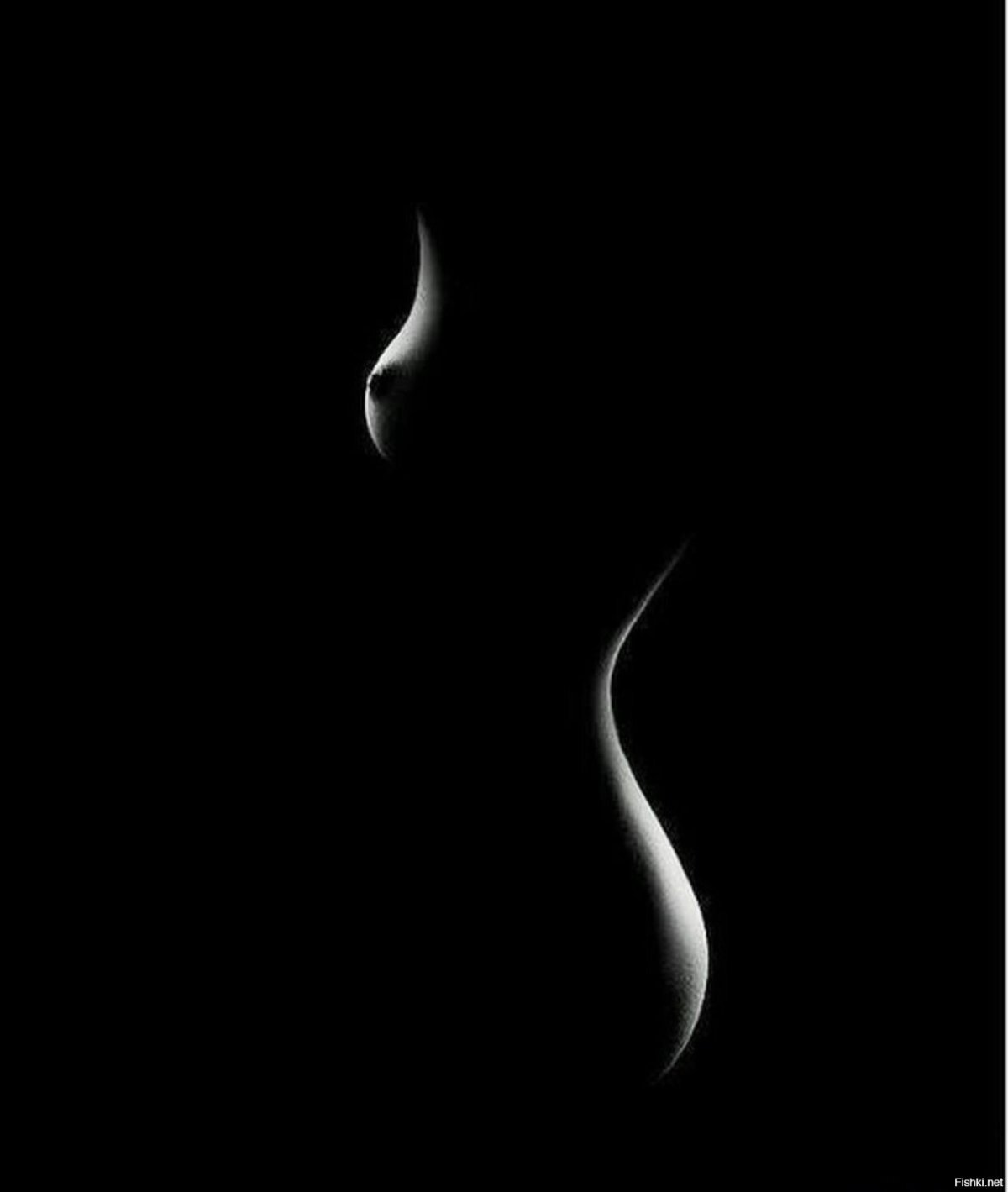 Красивые изгибы женского тела