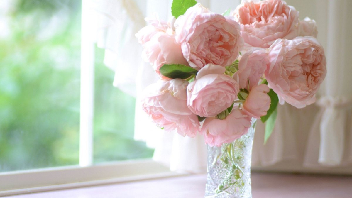 Розовые пионы