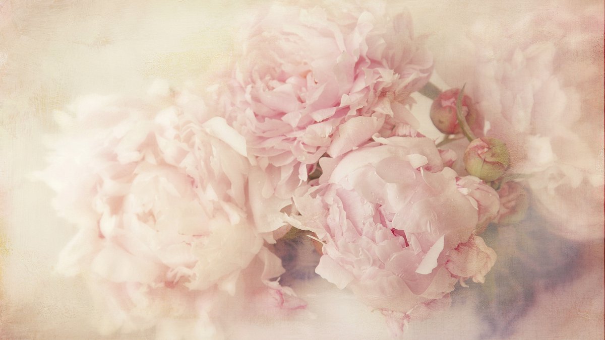 Нежный букет