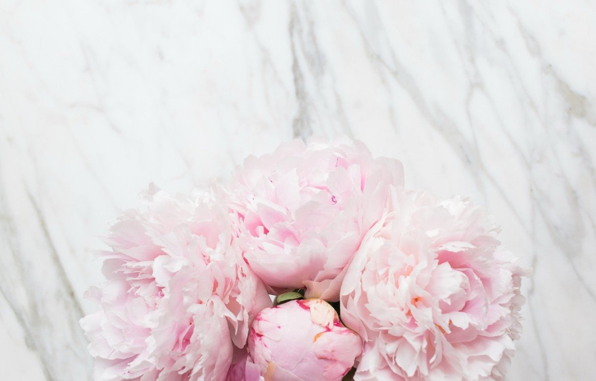 Пастельный Ганс пион