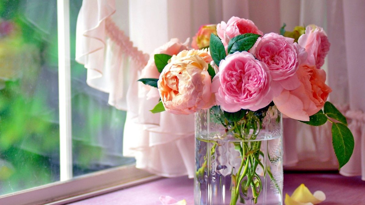 Нежные пионы в вазе