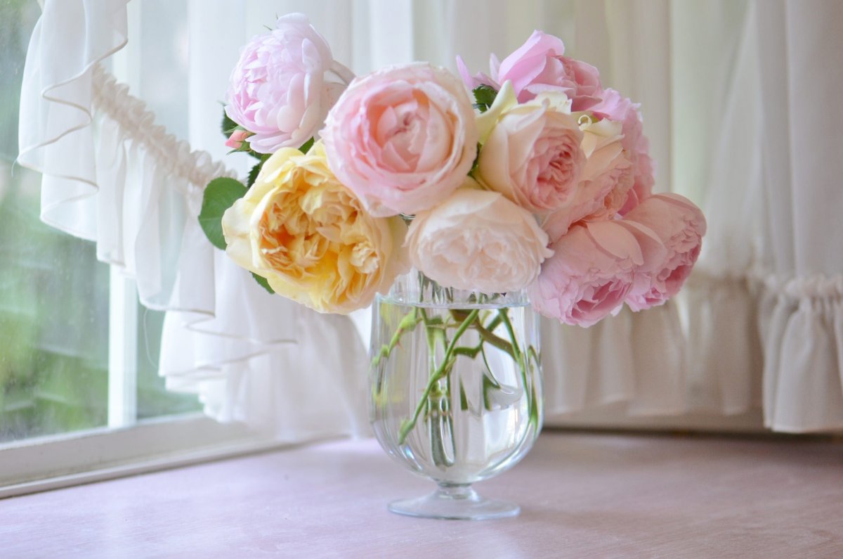 Картинки на рабочий стол пионы на весь экран