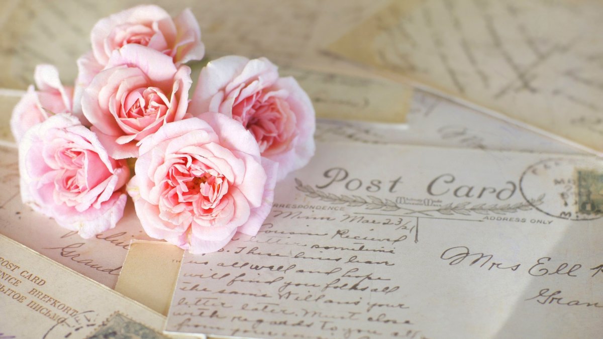 Пионы зефирки