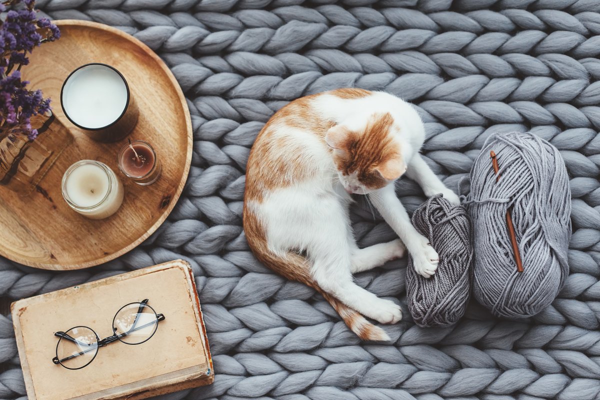 Скандинавское утро