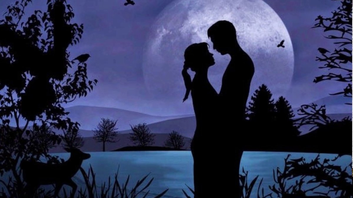 Влюбленные под луной
