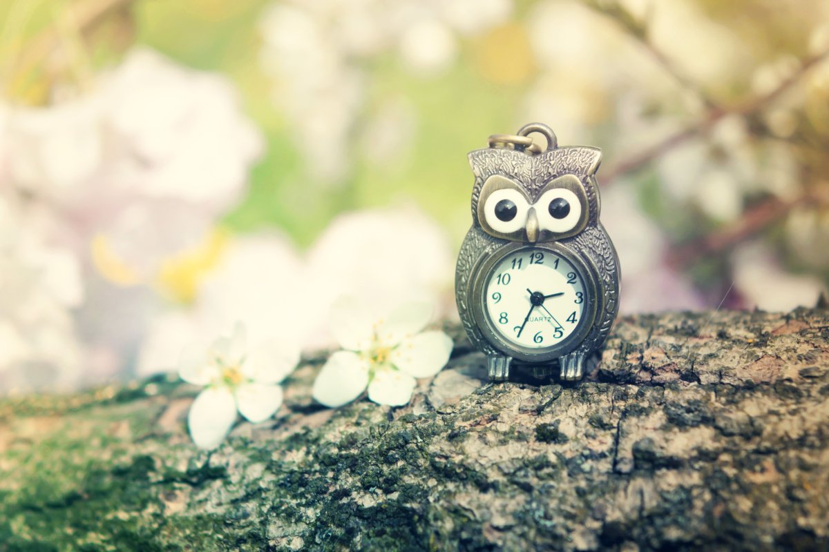 Часы милые картинки