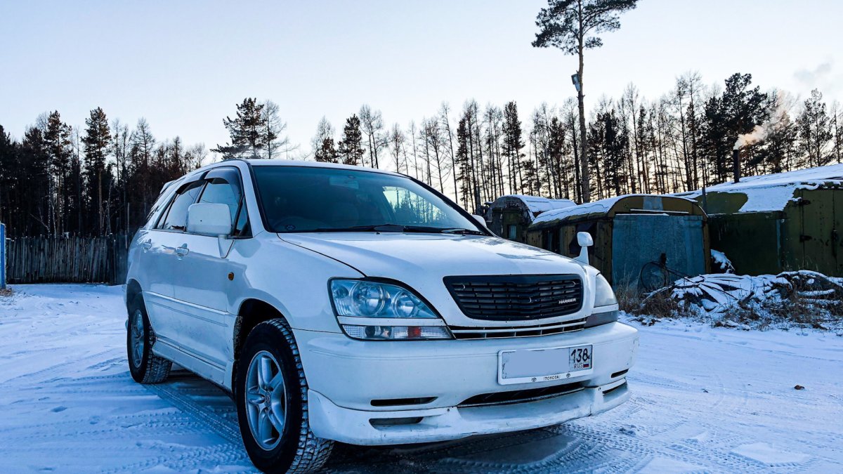 Примроуз Харриер