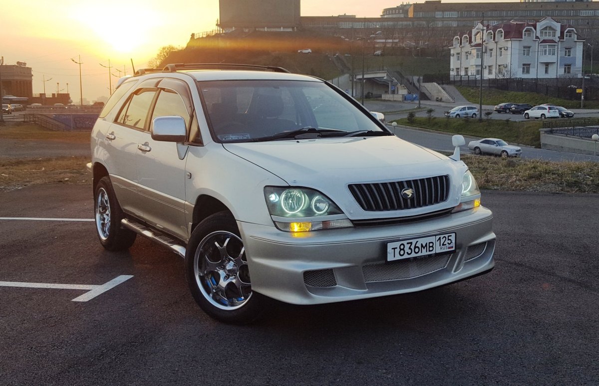 Харриер в снегу