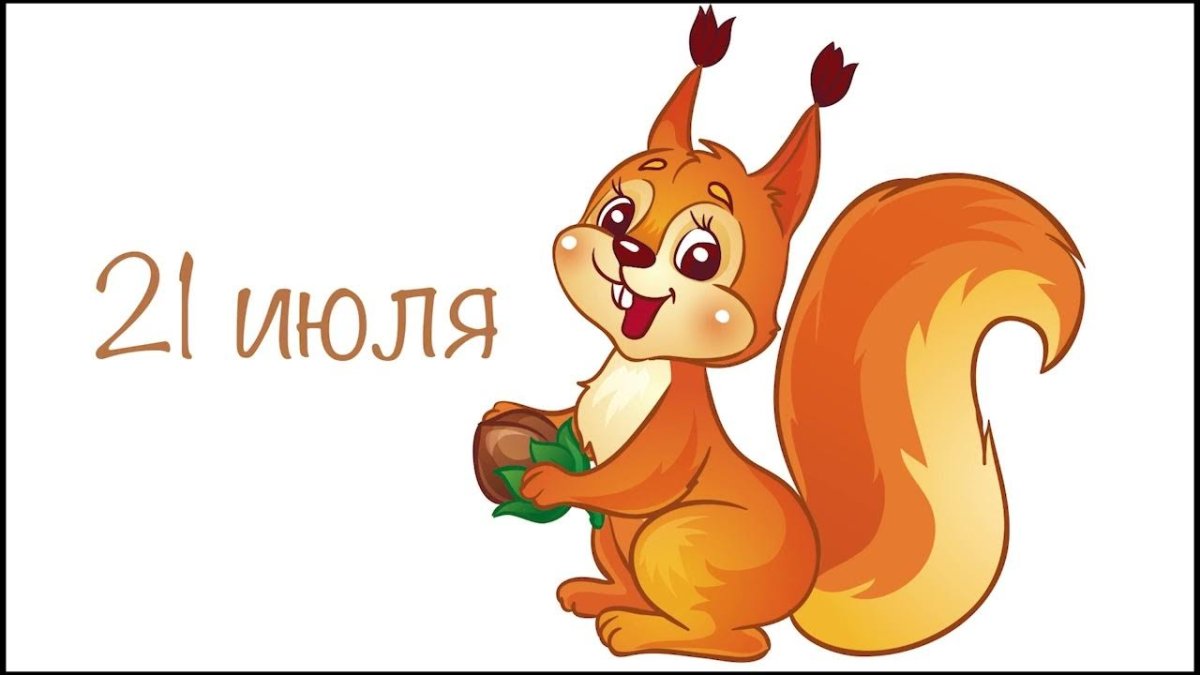 Белка картинка для детей