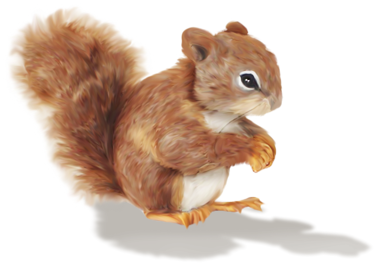 Белочка на прозрачном фоне